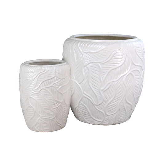 SET/2 MACETEROS BIRCH